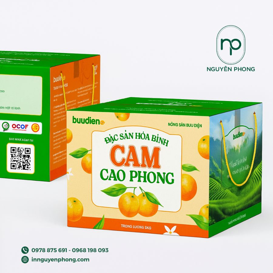 in-thung-carton-dung-dua-gia-re-tai-ha-noi